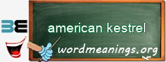 WordMeaning blackboard for american kestrel